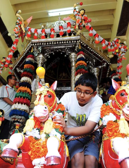 PG03_11012014_CHARIOT_THAIPUSAM