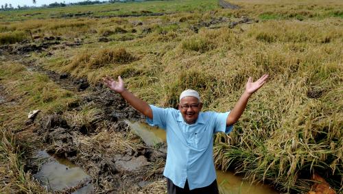 PG03_11012016_PETANI_ROSAK