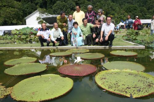 DATUK SERI DR NG YEN YEN