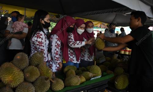 MUSIM DURIAN