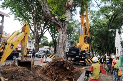 PG03_12082016_POKOK_KESESAKAN