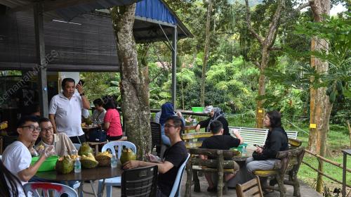 BALIK PULAU SYURGA DURIAN