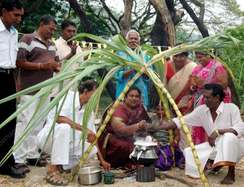 PESTA PONGGAL