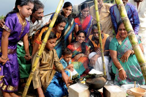 PG03_14012017_PONGAL