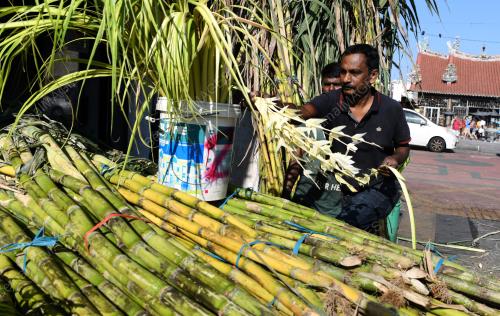 PERSIAPAN PONGGAL