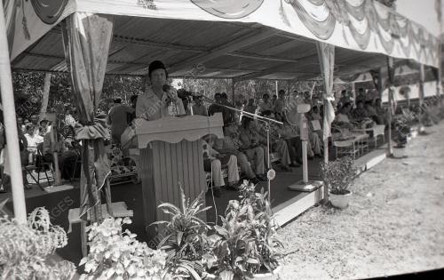 MUSA HITAM