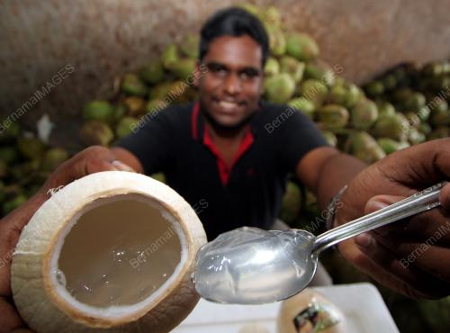 JELI KELAPA
