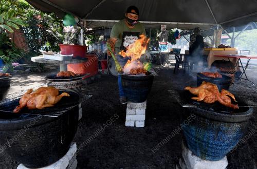 AYAM PASU BALIK PULAU
