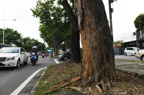POKOK_JALAN