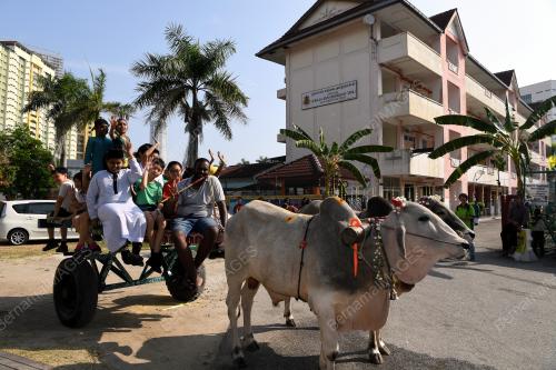 MUHIBBAH PONGGAL