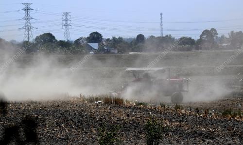 PG03_17032019_PETANI_DEBU_BN201903173624