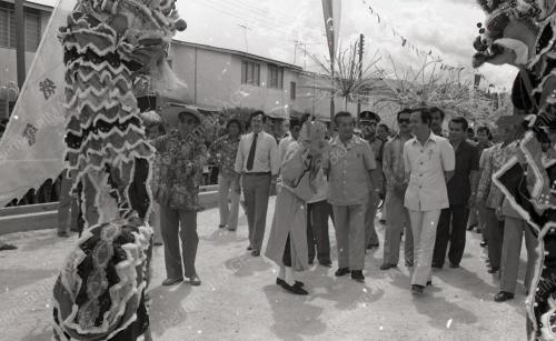 MUSA HITAM