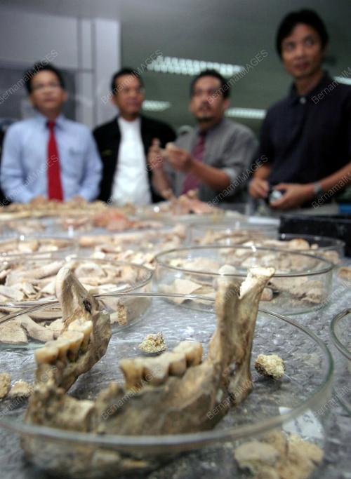 RANGKA TULANG MANUSIA PRASEJARAH