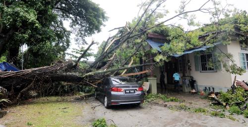 PG03_18092016_POKOK
