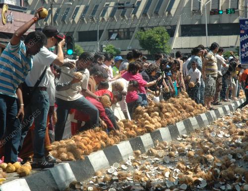 PG03_19012011_KELAPA