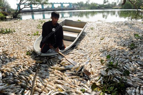 PG03_19032015_IKAN_SUNGAI