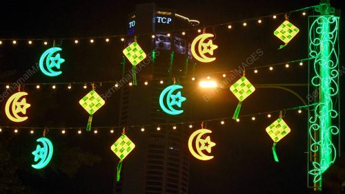 HIASAN LAMPU RAYA