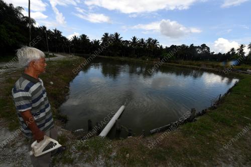 KOLAM PANCING IKAN