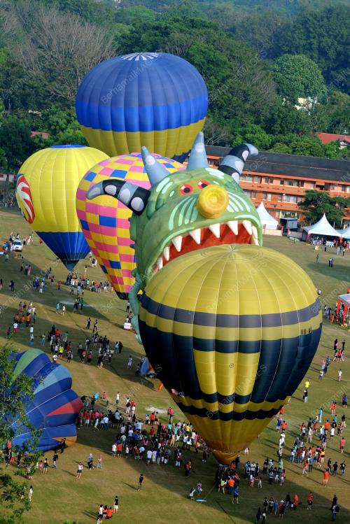 PG03_21022015_BELON_PAMER