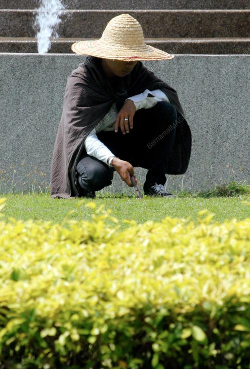 PG03_21032016_RUMPUT_PANAS