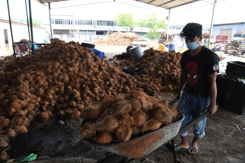 PENGUSAHA KELAPA_COVID