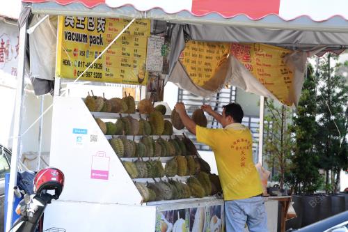 PENJUAL DURIAN