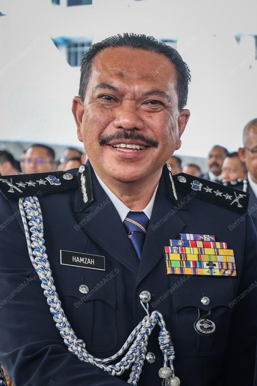 DATUK HAMZAH AHMAD
