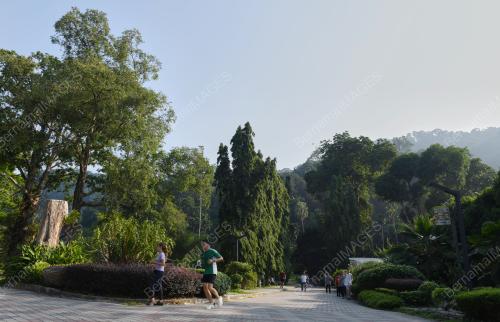 TAMAN BOTANI PULAU PINANG