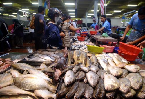 COVID-19_PASAR