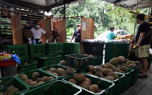 PENJUAL DURIAN PATUHI SOP