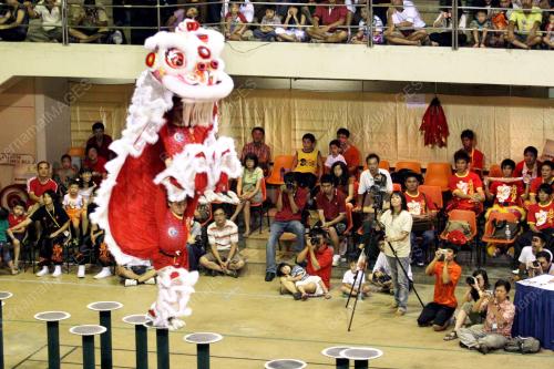 PERTANDINGAN SINGA ANTARABANGSA