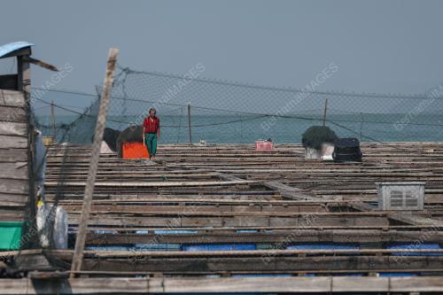 SANGKAR IKAN