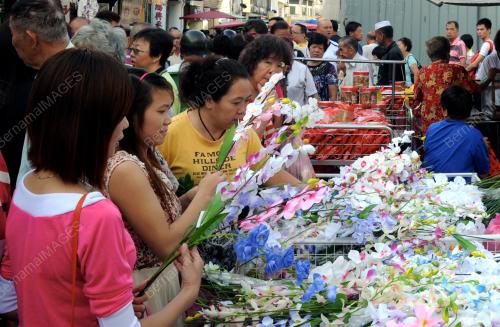 PG03_30012014_BUNGA_CINA