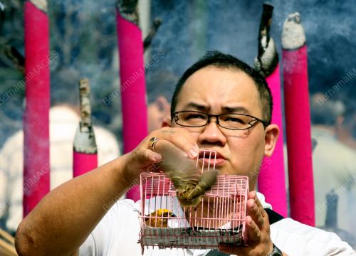 RELEASING BIRDS