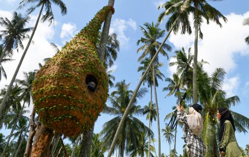 PELANCONG_KAMPUNG