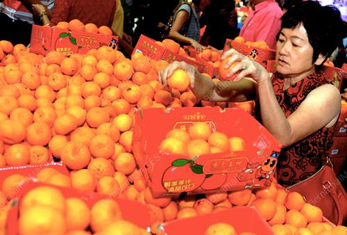 PG03_31012014_LIMAU_MANDARIN
