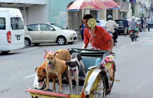 PG04_01082014_ANJING