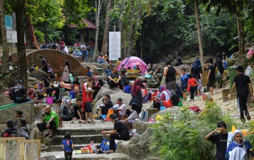 TAMAN RIMBA TELUK BAHANG