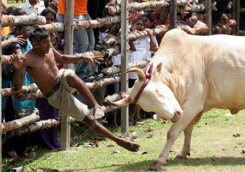 JALLIK KATHU