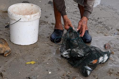 MENJALA IKAN