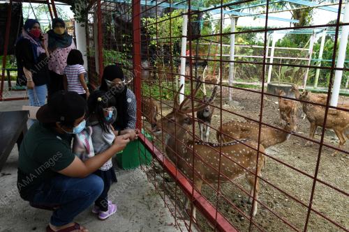 RUSA_MAKAN