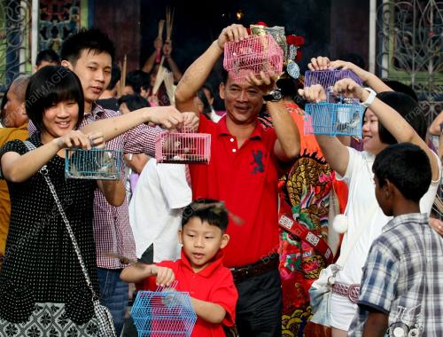 PG04_03022011_LEPAS_BURUNG