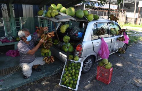 JUAL BUAH GUNA KERETA