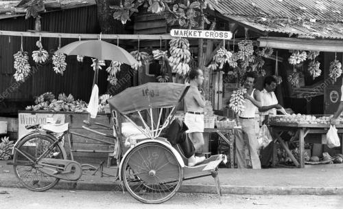 PG04_03082015_PISANG