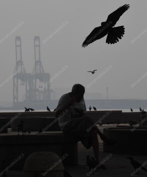 PG04_03092019_JEREBU_BN201902251564