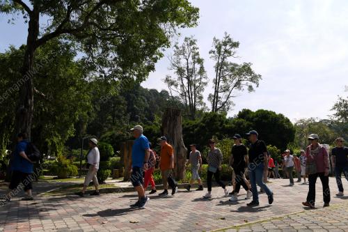 PENANG BOTANIC GARDENS