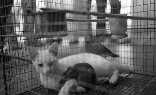 PG04_05022015_HAIWAN