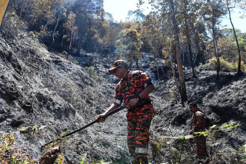 KEBAKARAN_HUTAN