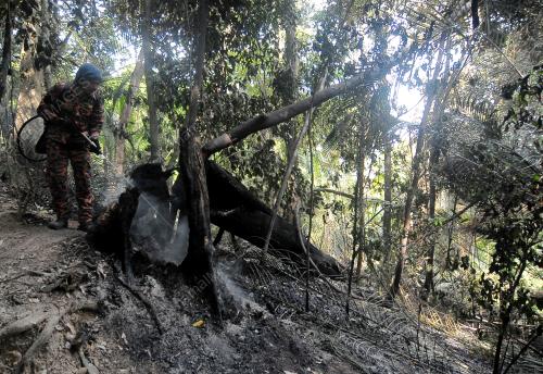 PG04_05032019_KEBAKARAN_HUTAN