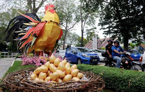 PG04_07012017_HIASAN_AYAM